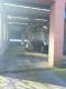 thumb-img